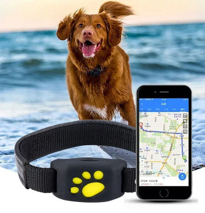 Collier GPS pour chien- Anti-Loss Real-Time Tracking