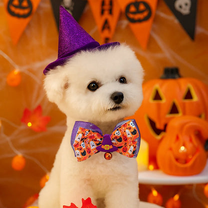 Collier chiot | Halloween Tête de Mort