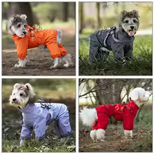 Manteau chien imperméable | Élégant