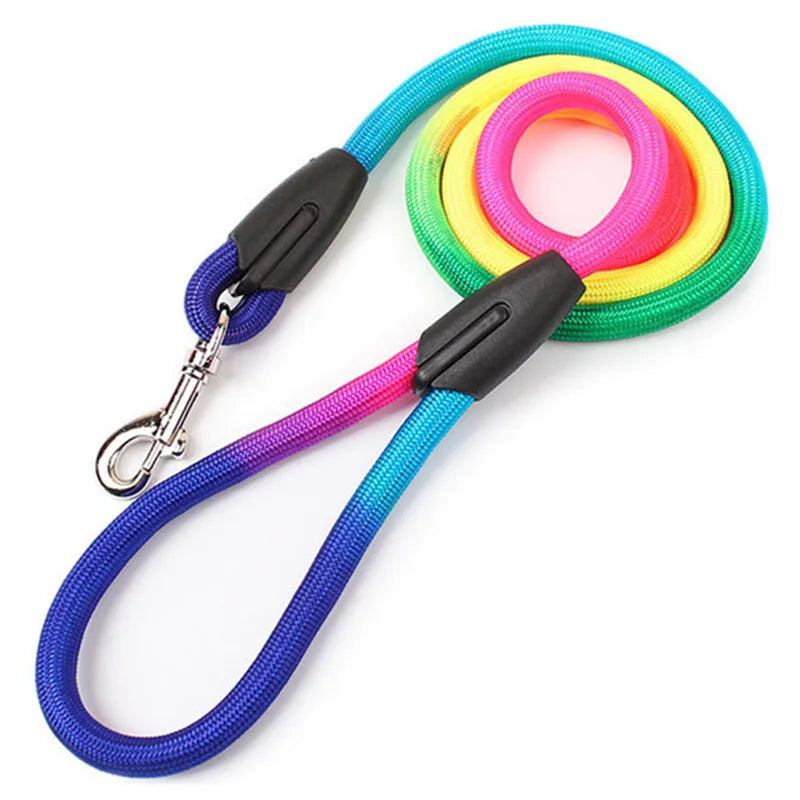 Laisse de chien- Laisse corde pour chien Arc en Ciel
