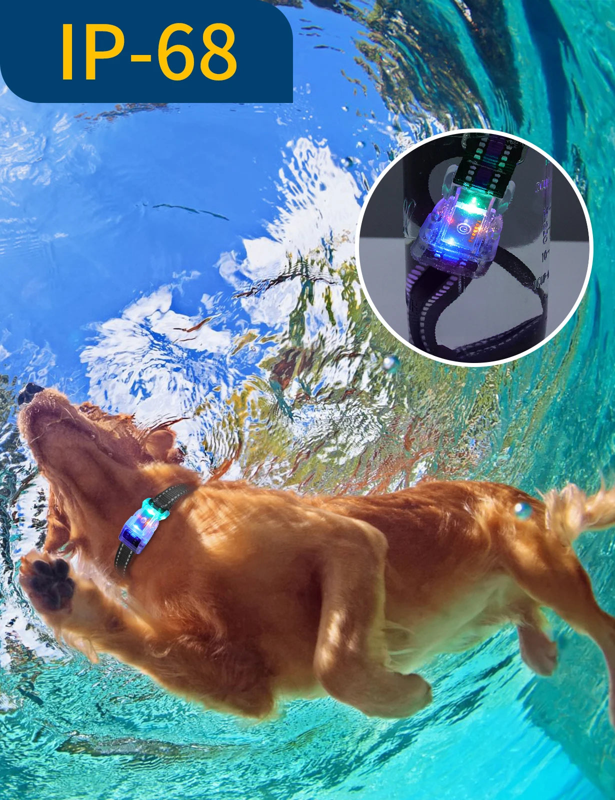 Collier chien lumineux-Collier-Anti-Perte-LED