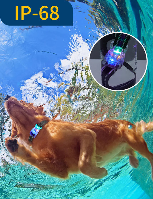 Collier chien lumineux-Collier-Anti-Perte-LED