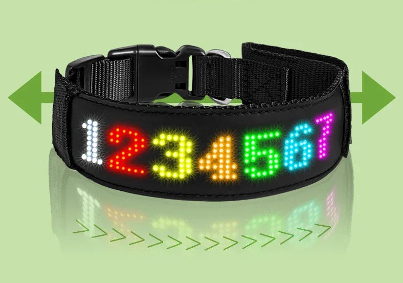 Chien collier lumineux | SafePet