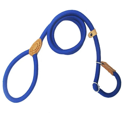 Laisse pour chien- P Chain Dog Leash Slip Collar