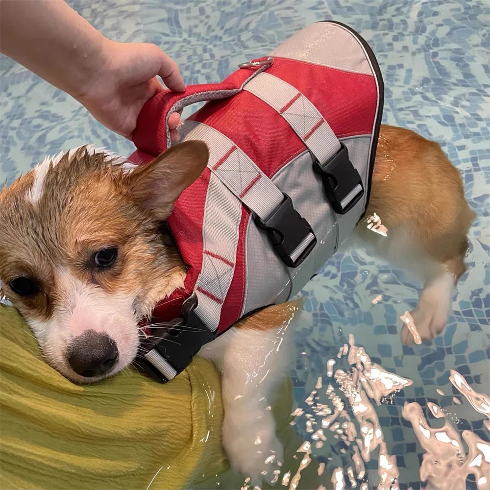 Gilet de sauvetage pour chien- Reflective Vest Swim Suit