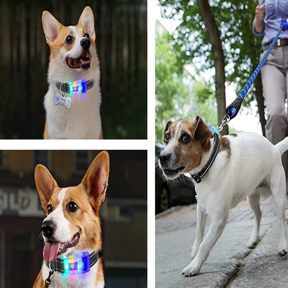 Collier chien lumineux-Collier-Anti-Perte-LED