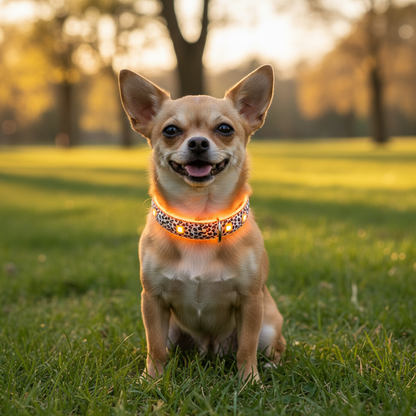 Collier chien lumineux-Léopard LED