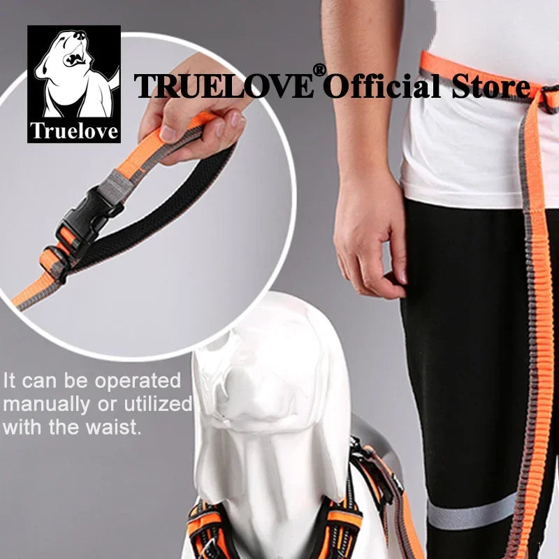 Laisse pour chien- TRUELOVE Carabiner