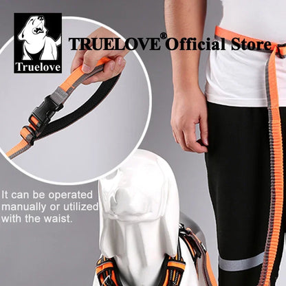 Laisse pour chien- TRUELOVE Carabiner