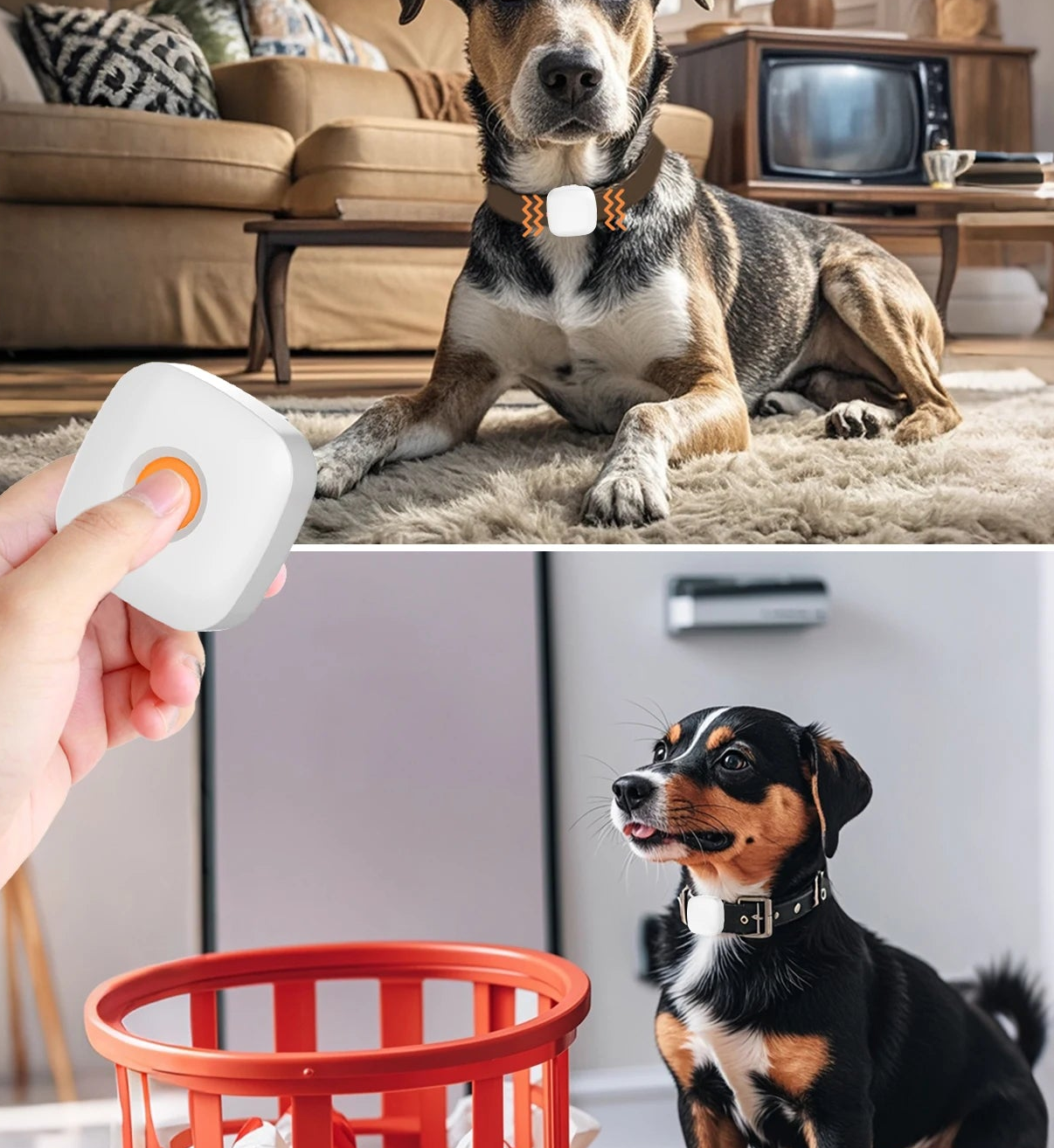 Collier anti aboiement chien | Vibradouceur