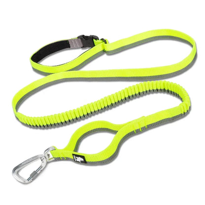 Laisse pour chien- TRUELOVE Carabiner