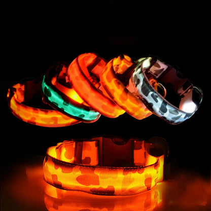 Collier chien lumineux-Camouflage LED