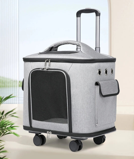 Caisse de transport chien- Suitcase Portable Travel