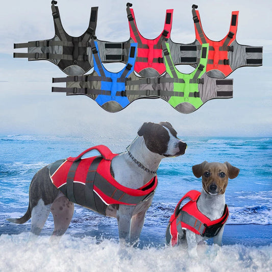 Gilet de sauvetage pour chien- Buoyancy