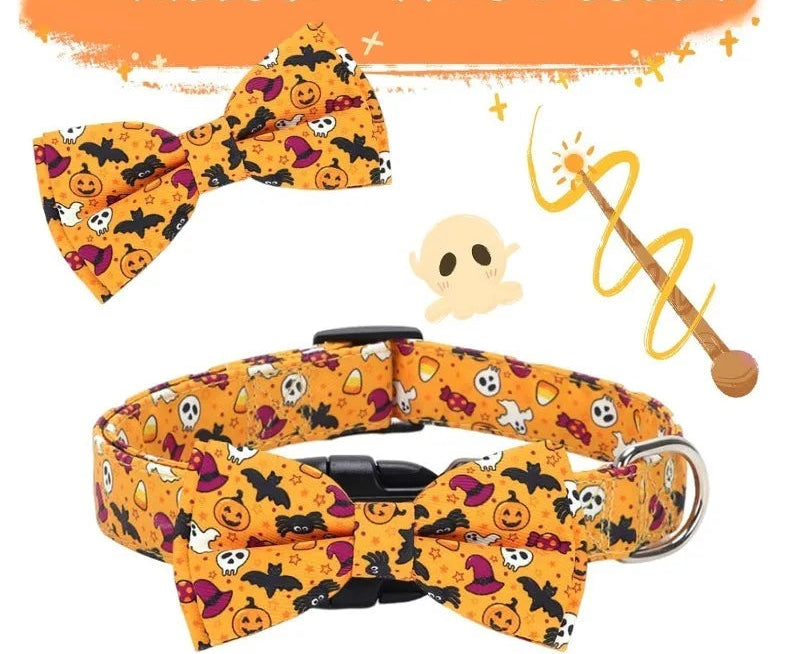 collier chien | Halloween Festif