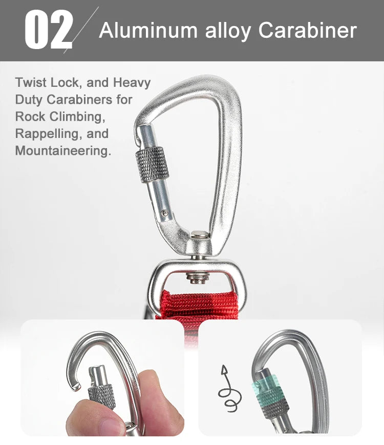 Laisse pour chien- TRUELOVE Carabiner