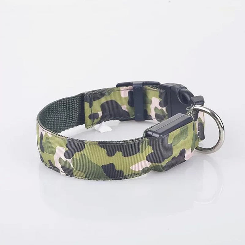 Collier chien lumineux-Camouflage LED