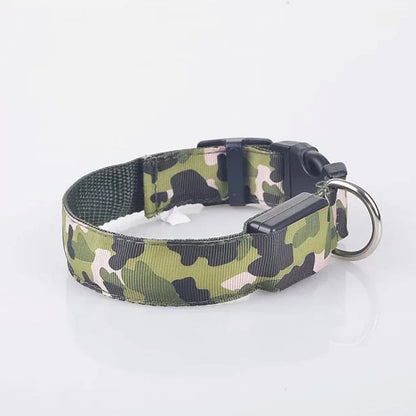 Collier chien lumineux-Camouflage LED