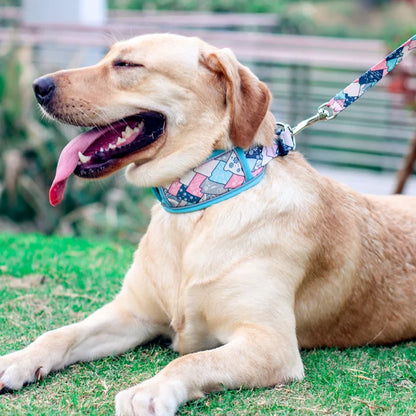 Collier de dressage pour chien- Confortable Extensible