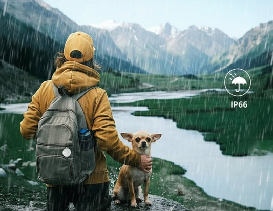 Traceur GPS chien- Tracker Smart Air-tag Global