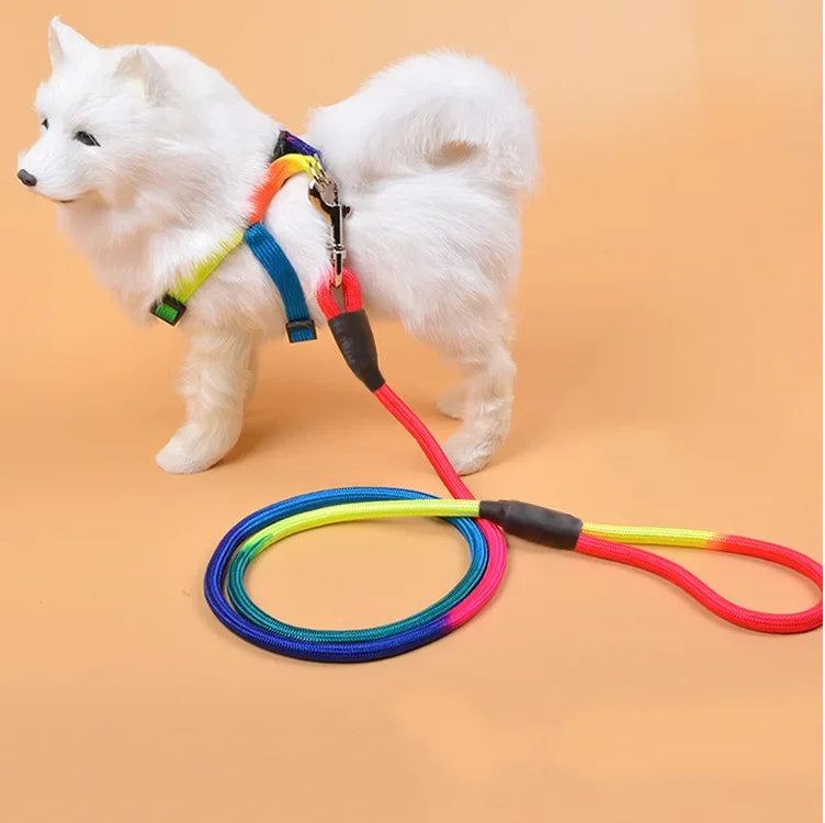 Laisse de chien- Laisse corde pour chien Arc en Ciel