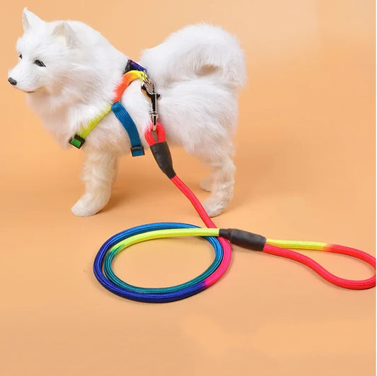 Laisse de chien- Laisse corde pour chien Arc en Ciel