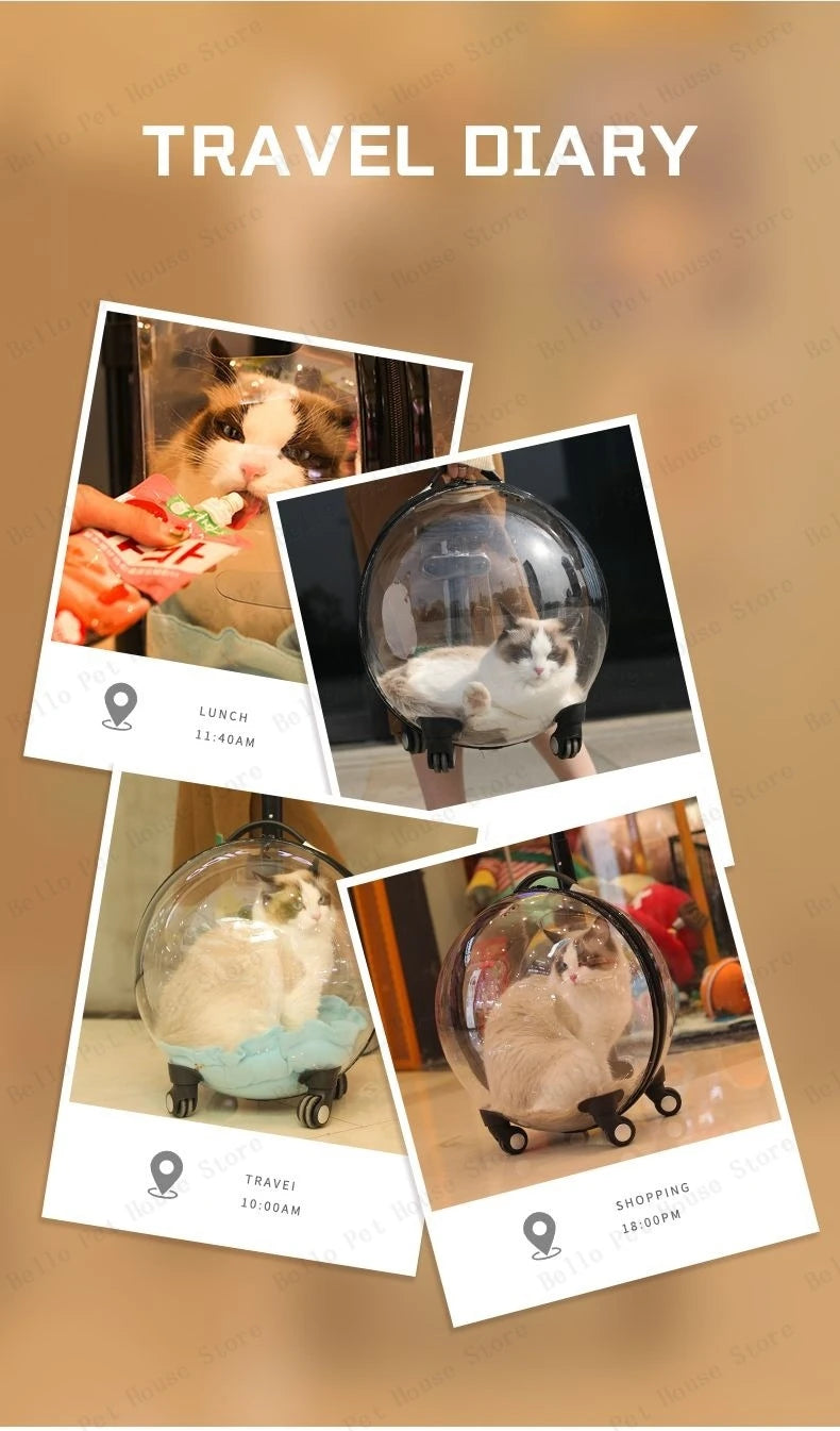 Cage de transport chien- Bulle transparente