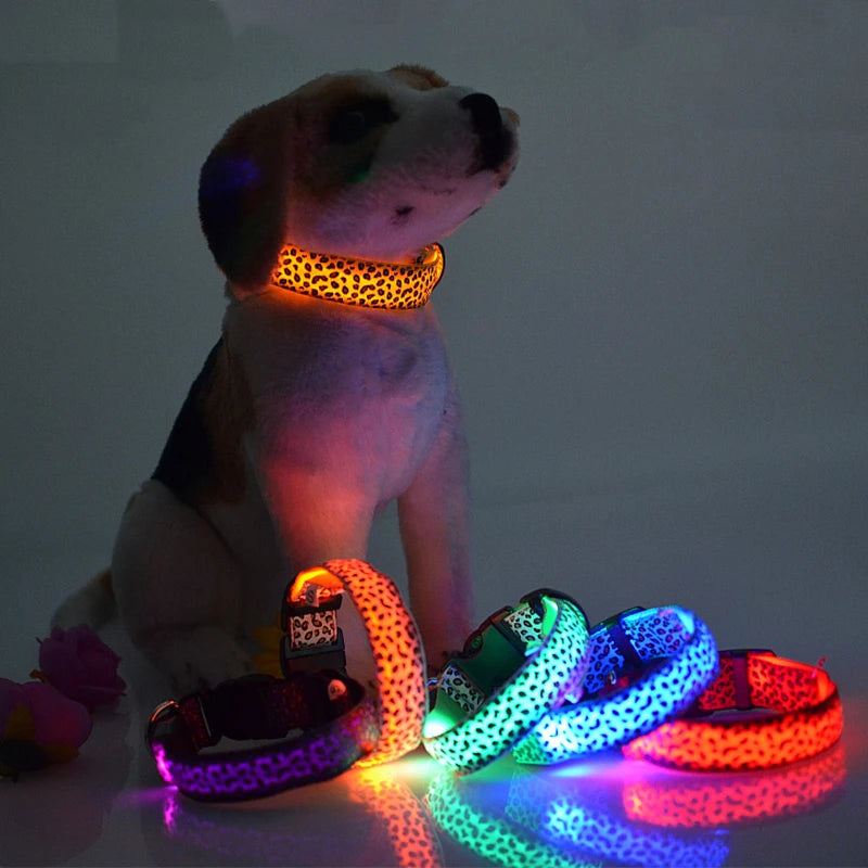 Collier chien lumineux-Léopard LED