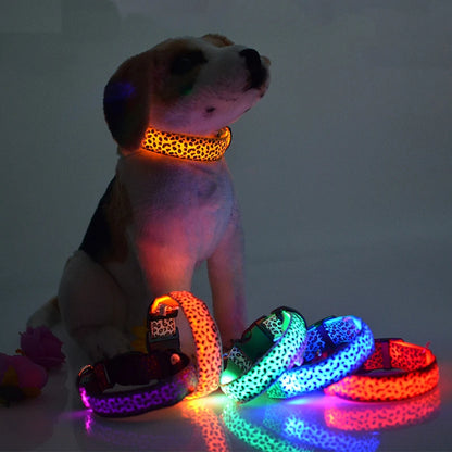 Collier chien lumineux-Léopard LED