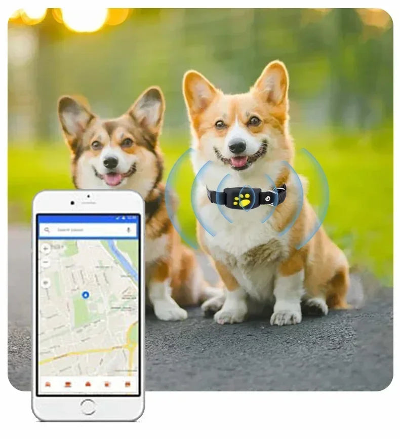 Collier GPS pour chien- Anti-Loss Real-Time Tracking
