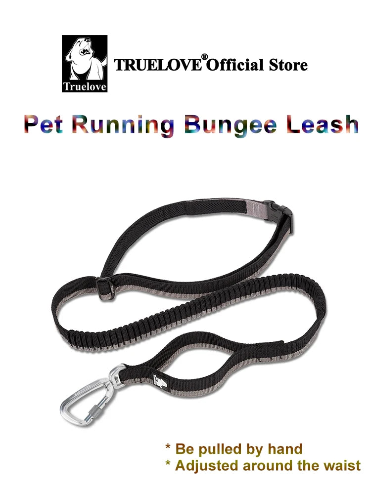 Laisse pour chien- TRUELOVE Carabiner