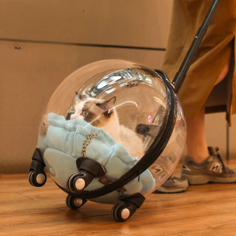 Cage de transport chien- Bulle transparente