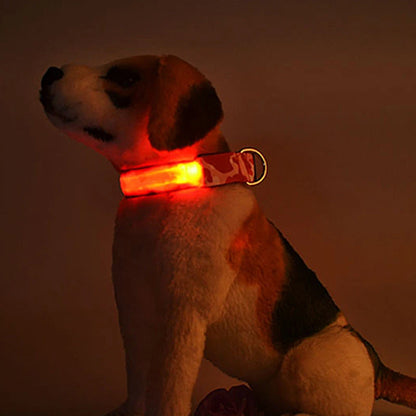 Collier chien lumineux-Camouflage LED