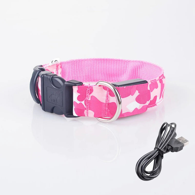 Collier chien lumineux-Camouflage LED