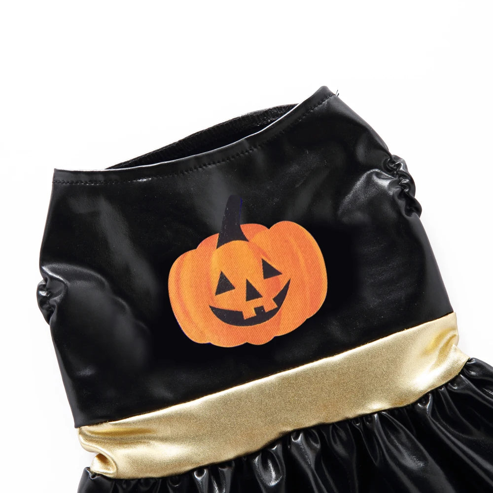 Robe pour chien-Wonder Dog