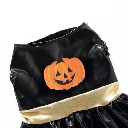 Robe pour chien-Wonder Dog