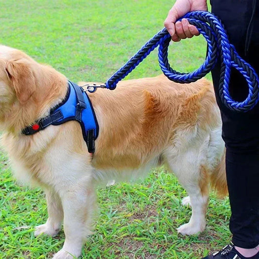 Laisse de chien- HATELI Rope