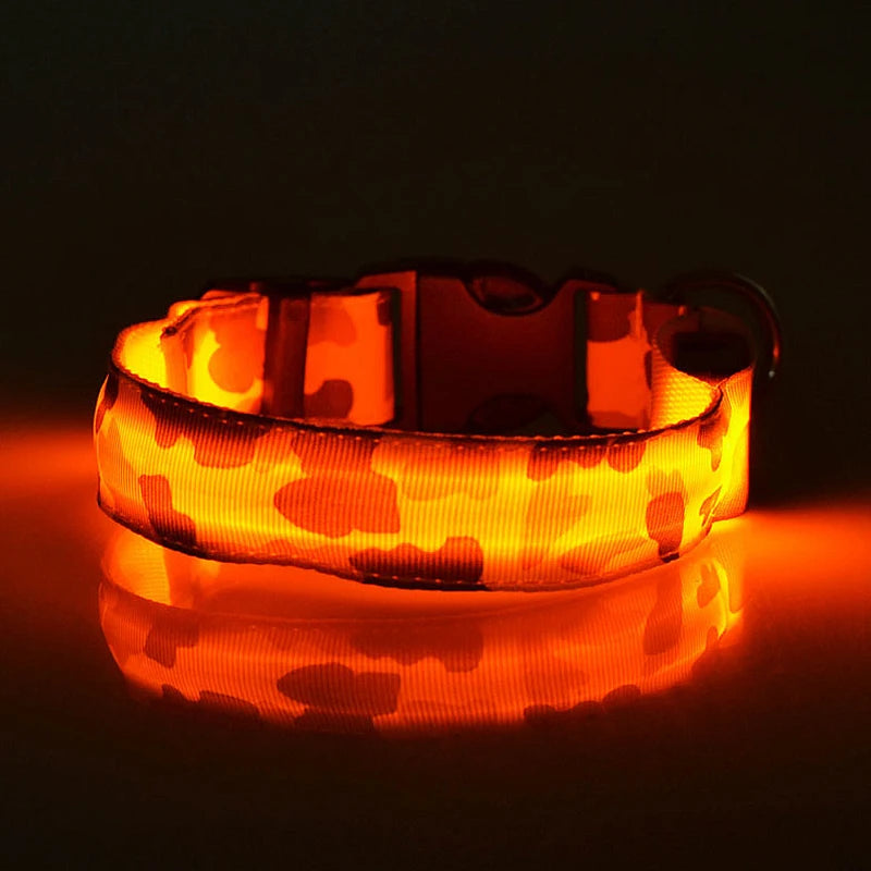 Collier chien lumineux-Camouflage LED