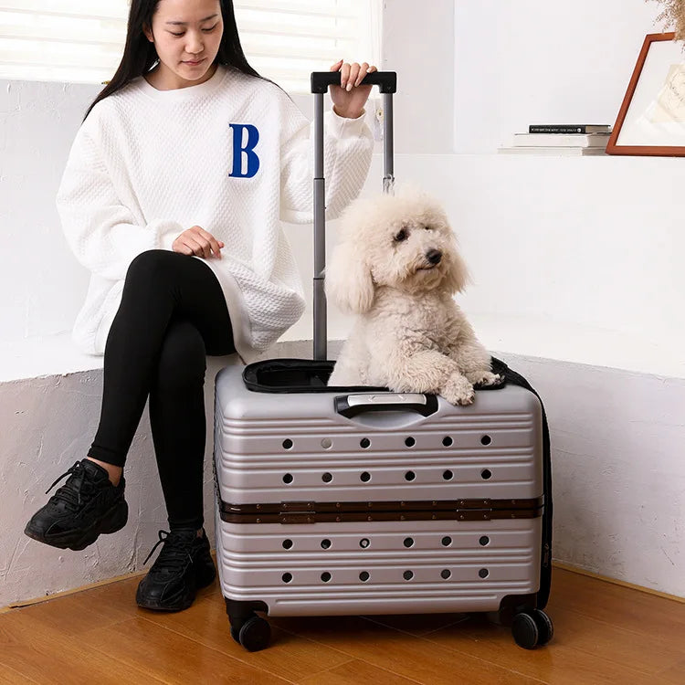 Cage pour chien- NIOPEPPA Suitcase Transparent