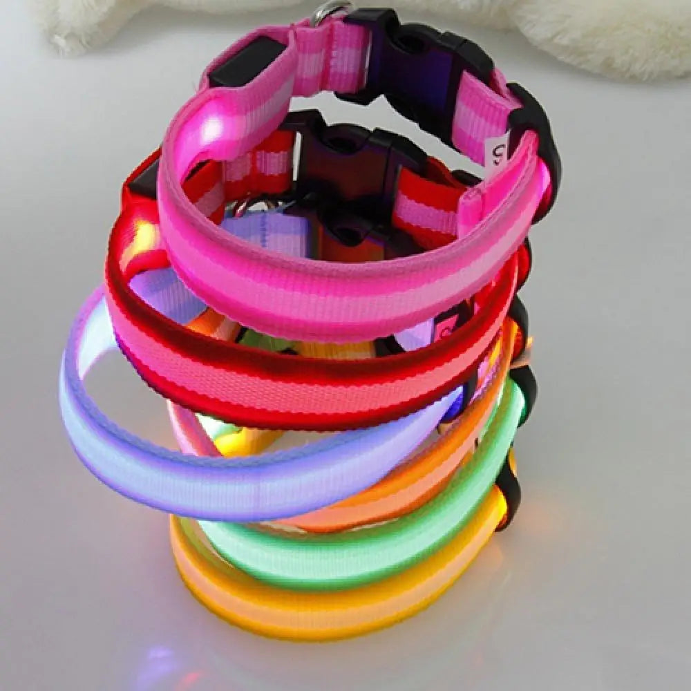Collier Chien LEDCollarDog™