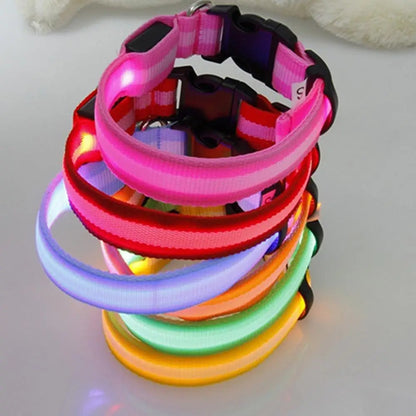 Collier Chien LEDCollarDog™