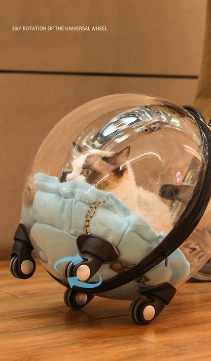 Cage de transport chien- Bulle transparente