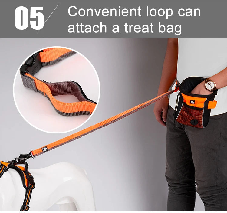 Laisse pour chien- TRUELOVE Carabiner