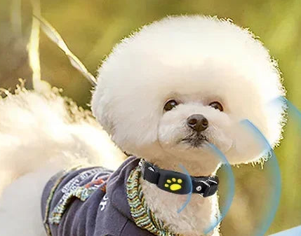 Collier GPS pour chien- Anti-Loss Real-Time Tracking