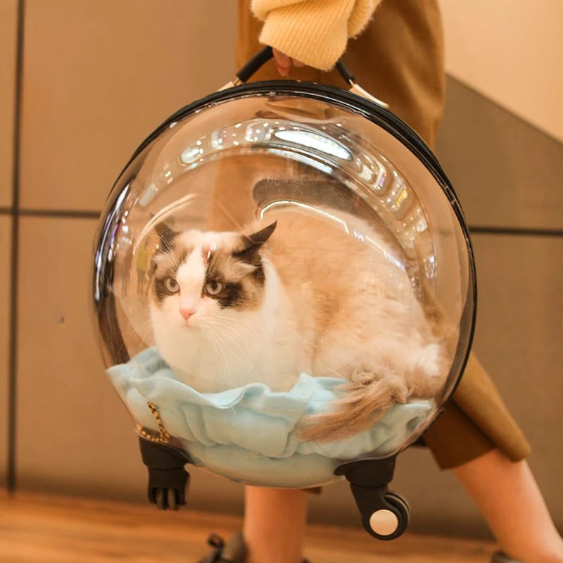 Cage de transport chien- Bulle transparente