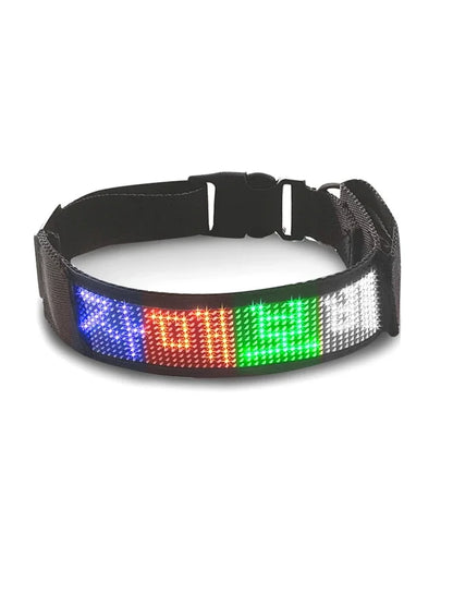 Chien collier lumineux | SafePet
