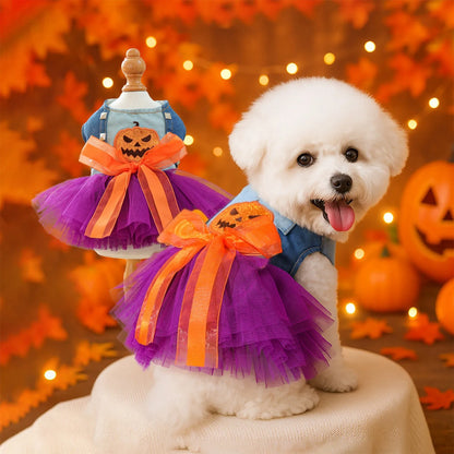 Robe pour chien | Halloween Festive