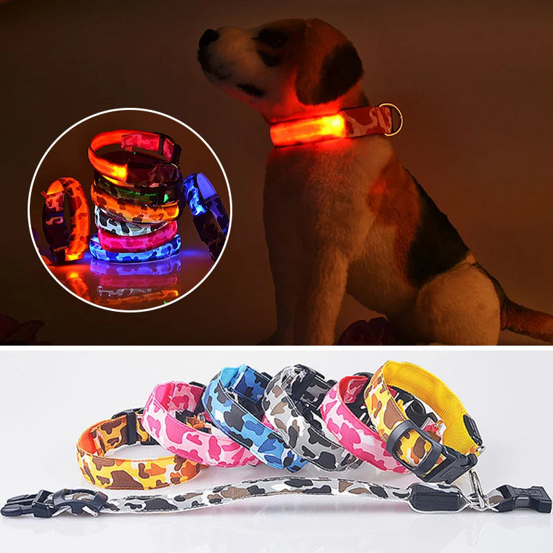 Collier chien lumineux-Camouflage LED