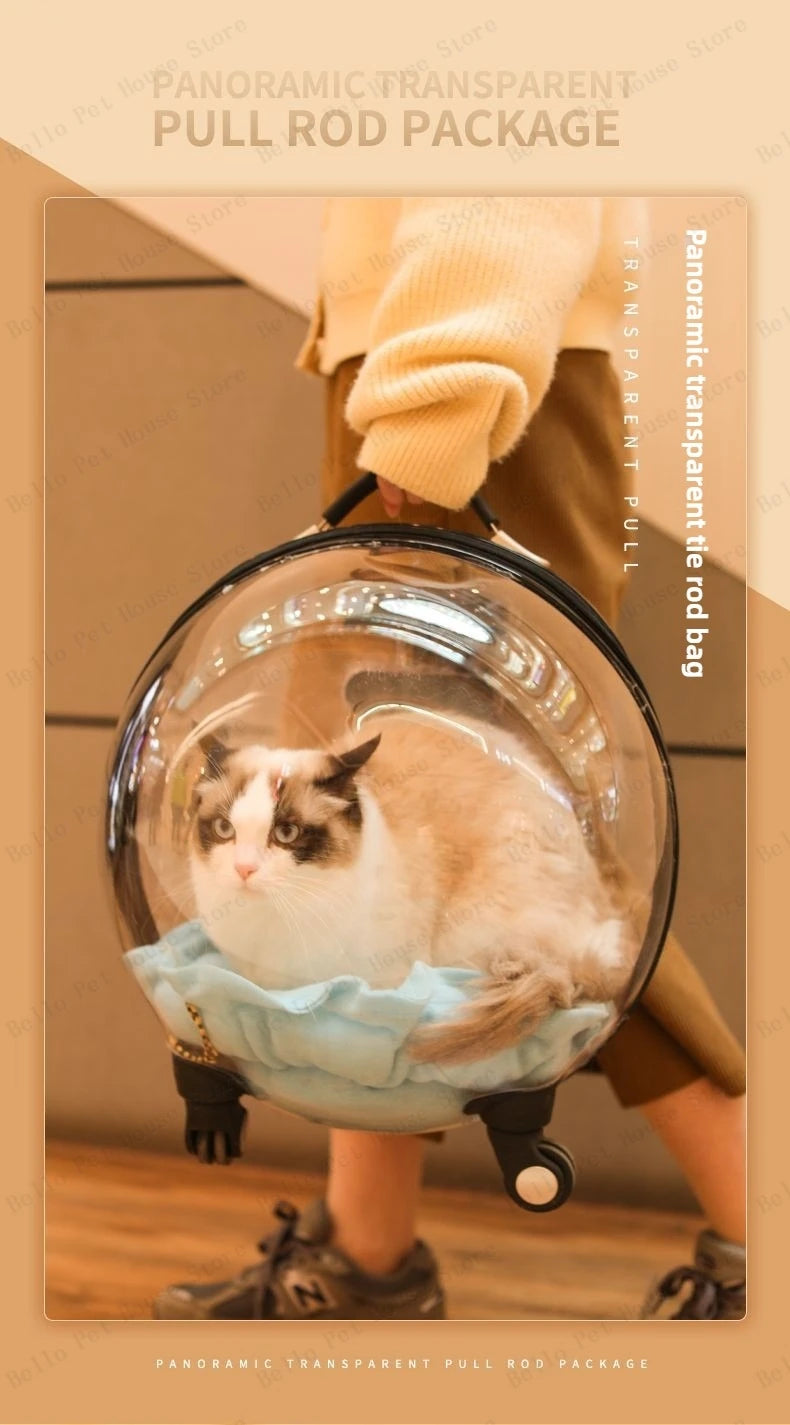 Cage de transport chien- Bulle transparente