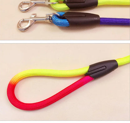 Laisse de chien- Laisse corde pour chien Arc en Ciel